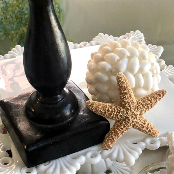 New! Romosa Murex Seashell Black Stand - Picture 5 of 8